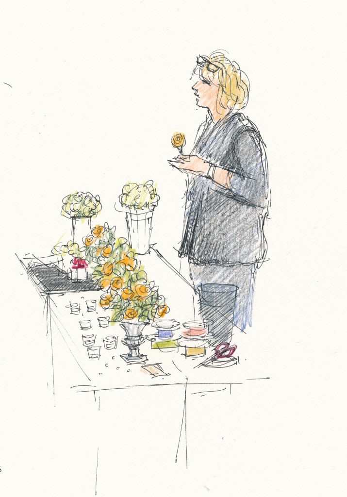 wedding and events illustration - chrissie wiltshire